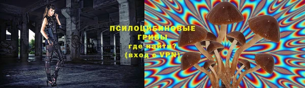Альфа ПВП Арсеньев